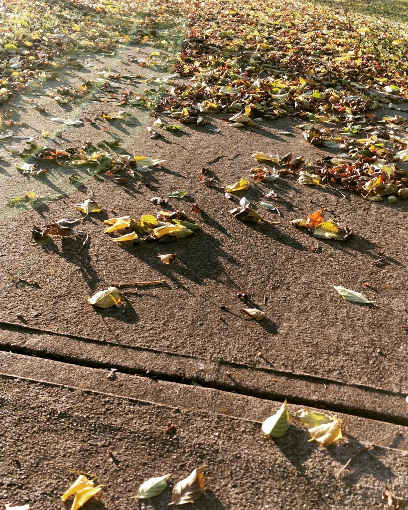 Picture quote about paths of life, 